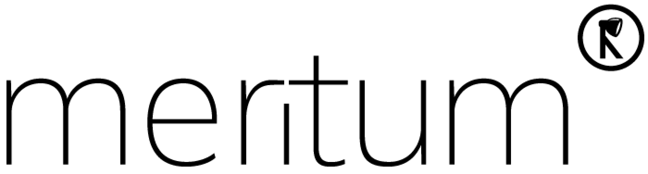 Meritum logo